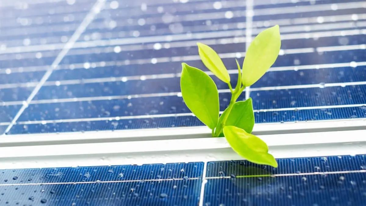 Hur solenergi minskar koldioxidutsläpp